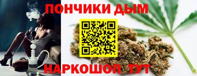 сатива Лесосибирск