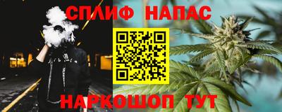 сатива Лесосибирск